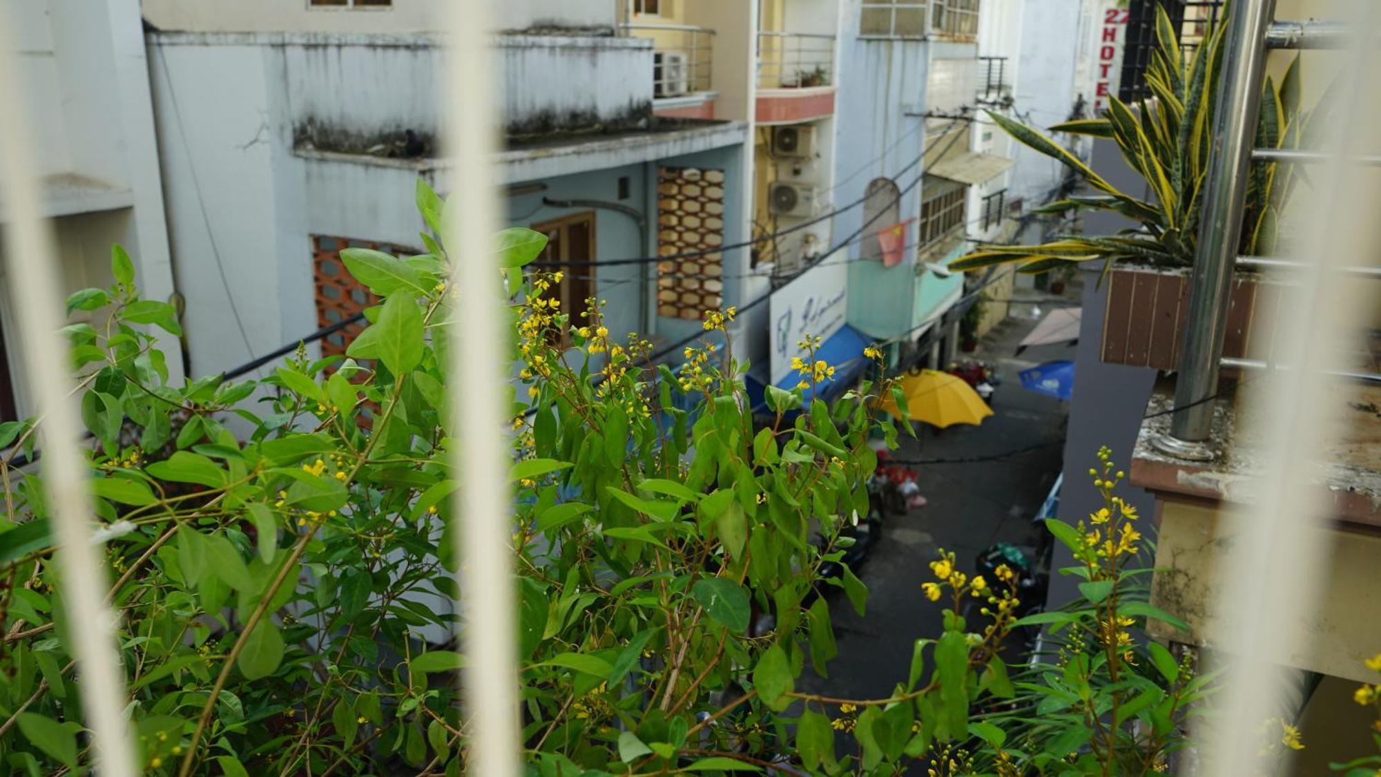 Maiam Homestay Ho Chi Minh-Byen Eksteriør billede